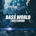 Bass World专辑