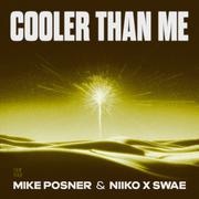 Cooler Than Me (Clean Mix)