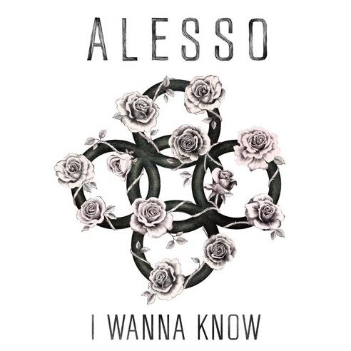 I Wanna Know (Dannic Bootleg)