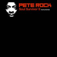 Truth is - Pete Rock (instrumental)