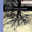 Mikhail Voskresensky plays Beethoven专辑
