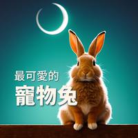 亨德尔C大调维奥尔奏鸣曲 IV 钢琴伴奏