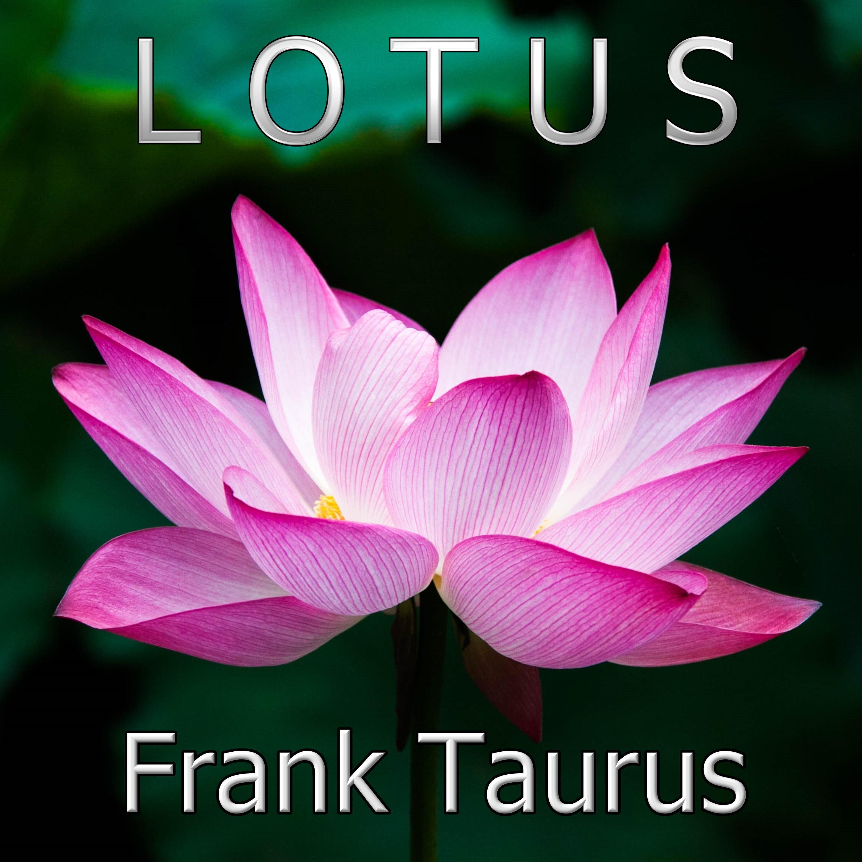 Lotus