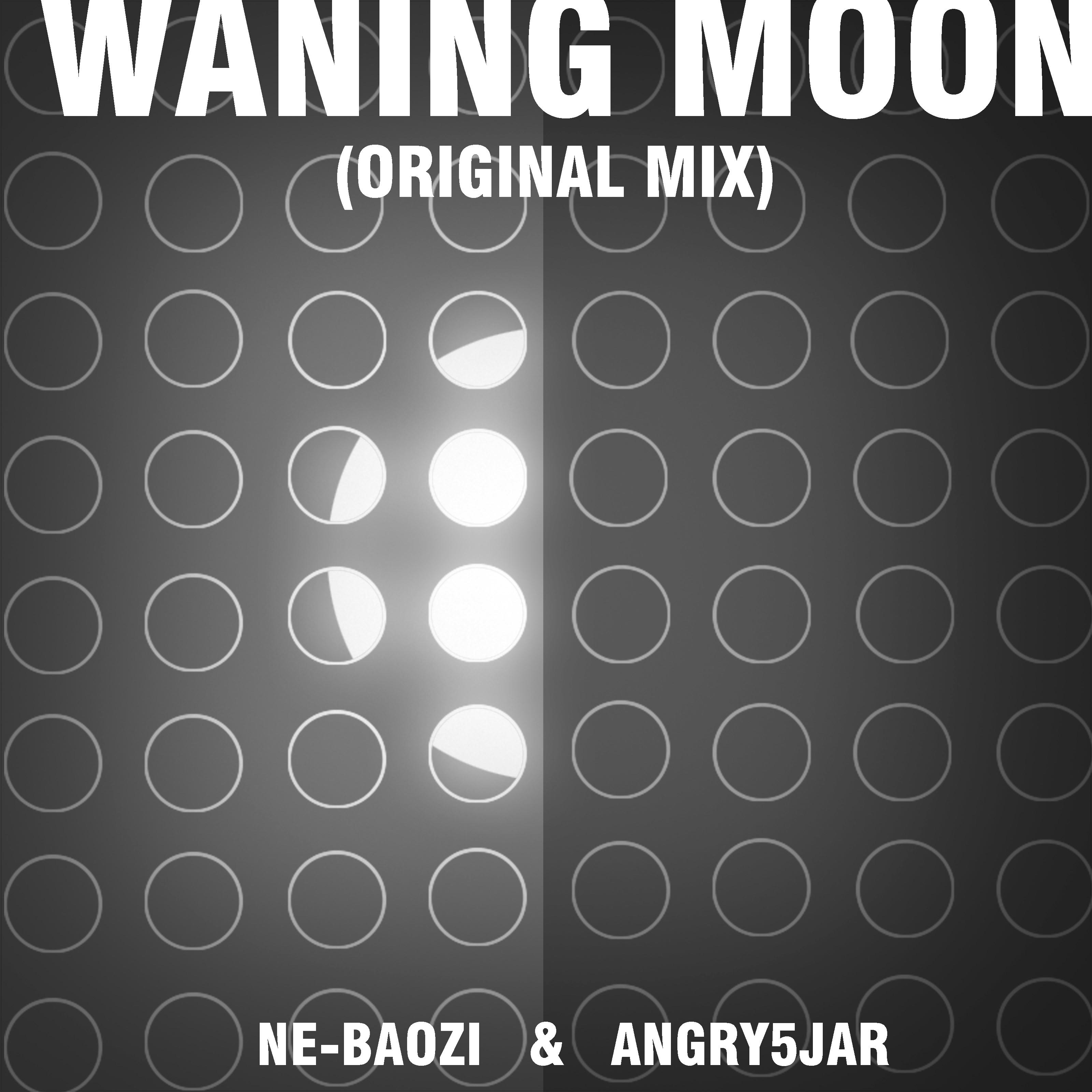 Waning Moon （Original Mix）专辑