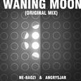 Waning Moon （Original Mix）