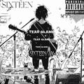 Tear gland