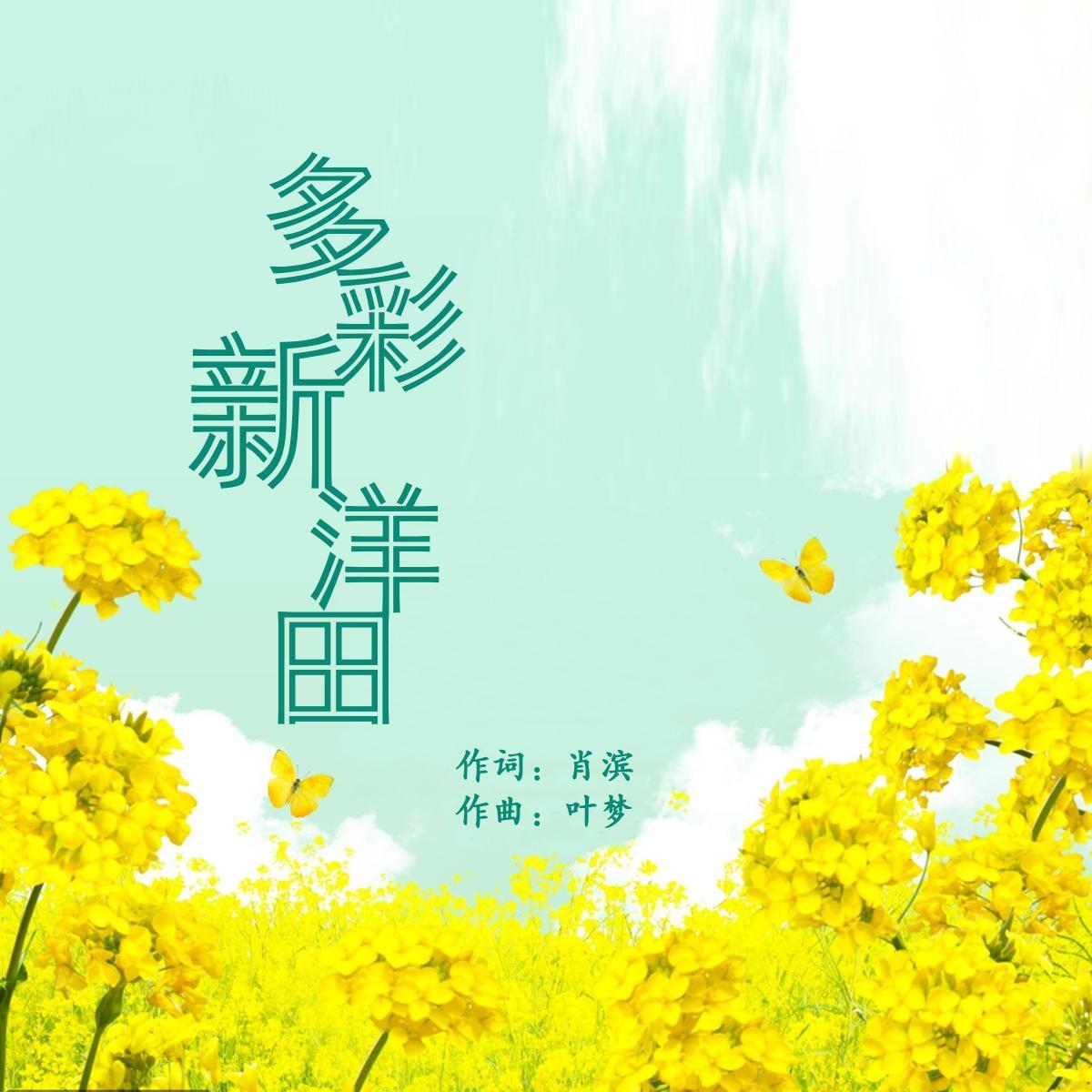 多彩新洋田