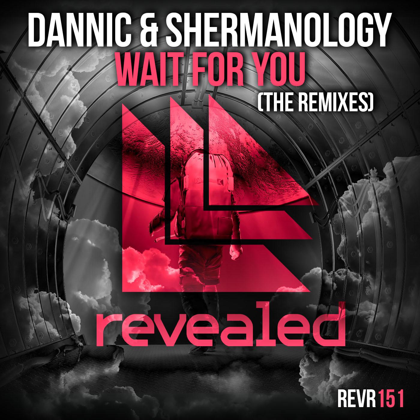 Wait For You (The Remixes)专辑