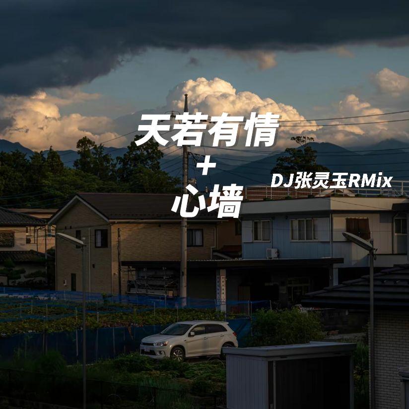 天若有情+心墙