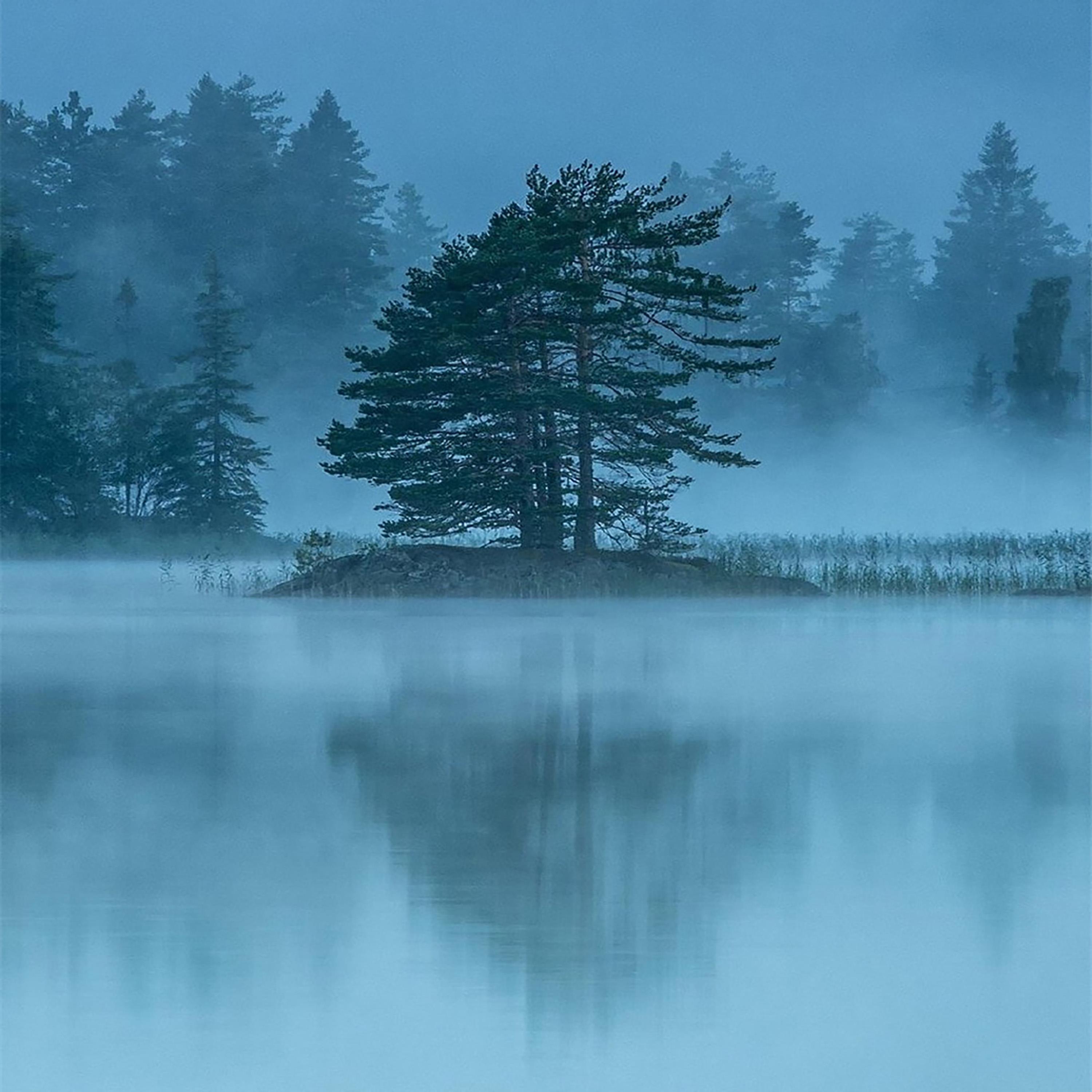 紫竹调（徵音入心 养心安神）