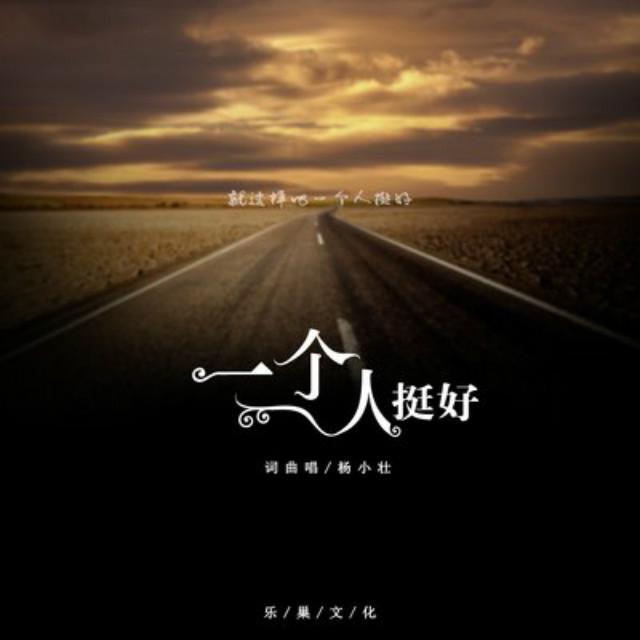 杨小壮 - 让我欢喜让我忧(DJ版)(翻自 杨小壮)封面