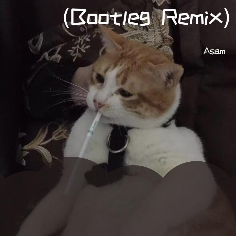(Asam Bootleg Remix)