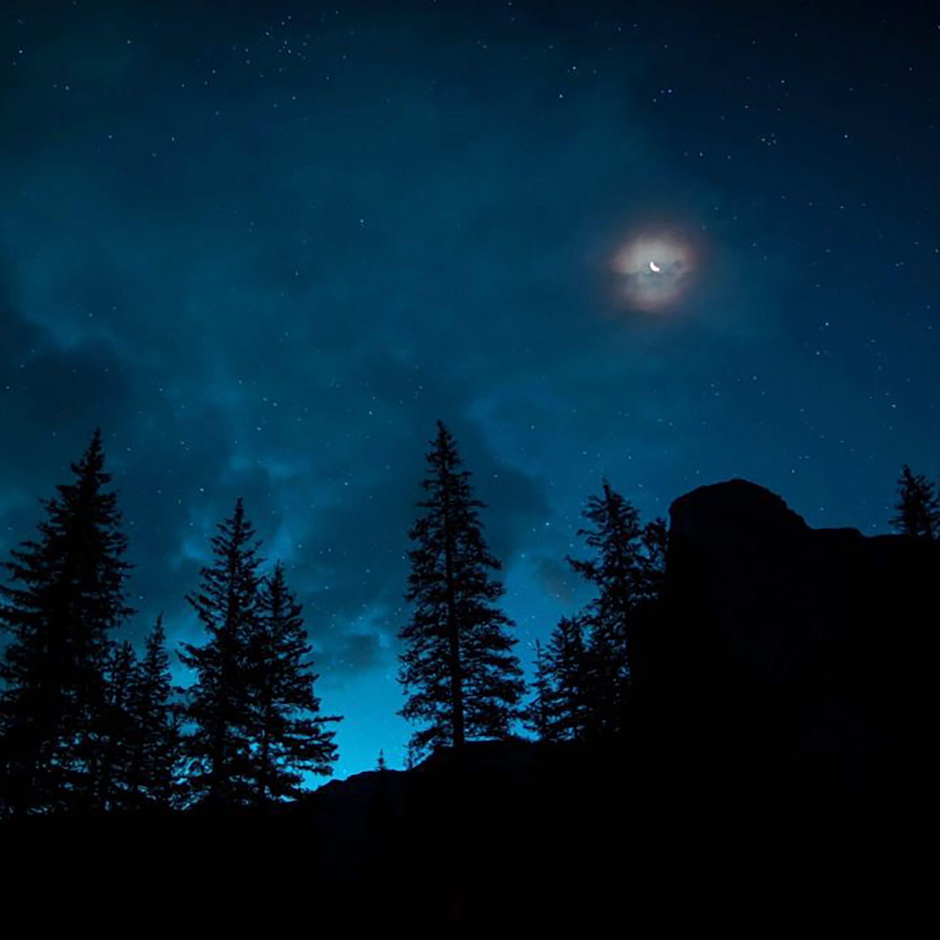 迷失的回忆（睡前轻音乐）