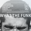 Genki Project Vol.7 What The Funk专辑