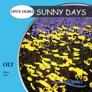 Sunny Days -- Meet A Girl Lik （降4半音）