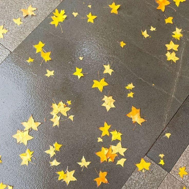 “ 秋叶落 ” 郑润泽 x 汤令山 x Pop Type Beat