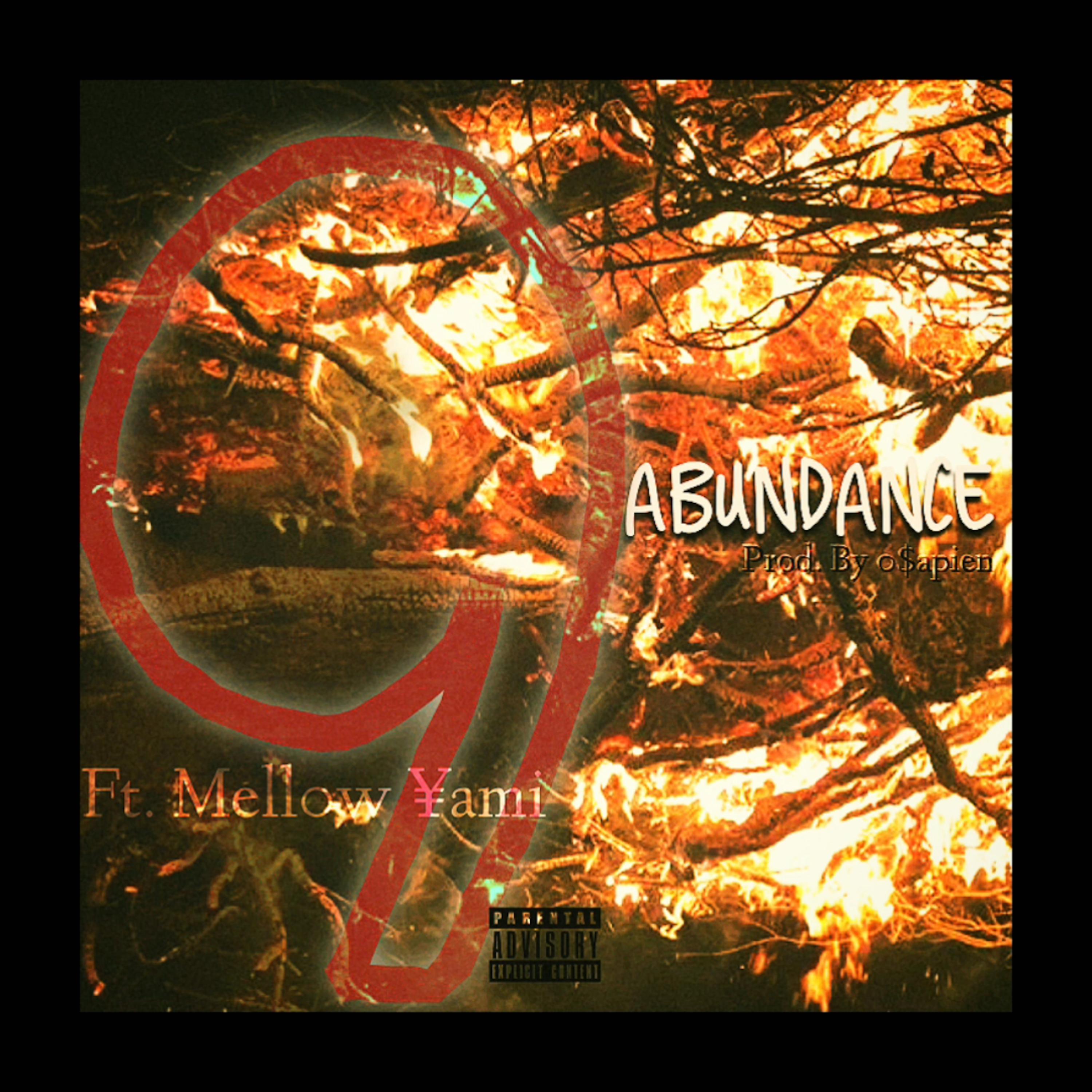 ABUNDANCE