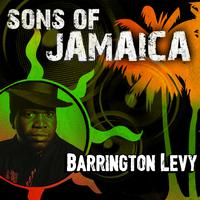 Barrington Levy ft. Snoop Dogg  Mims - Watch Dem (Murderer) (instrumental)