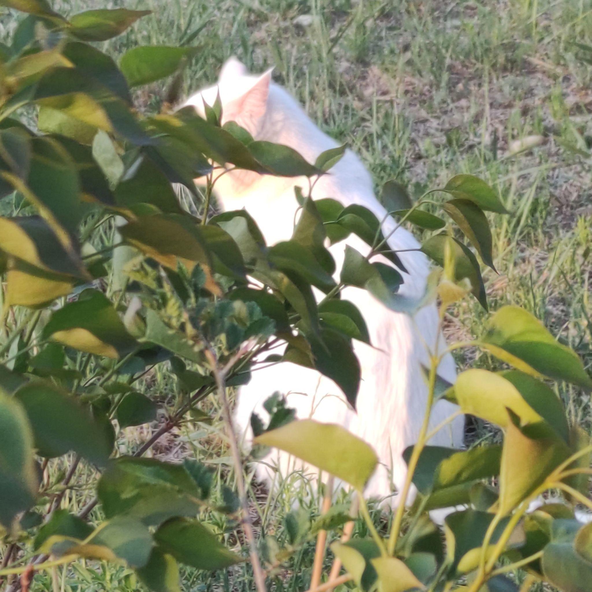 【游戏】[Free]"和我一起去游戏世界" cover artwork