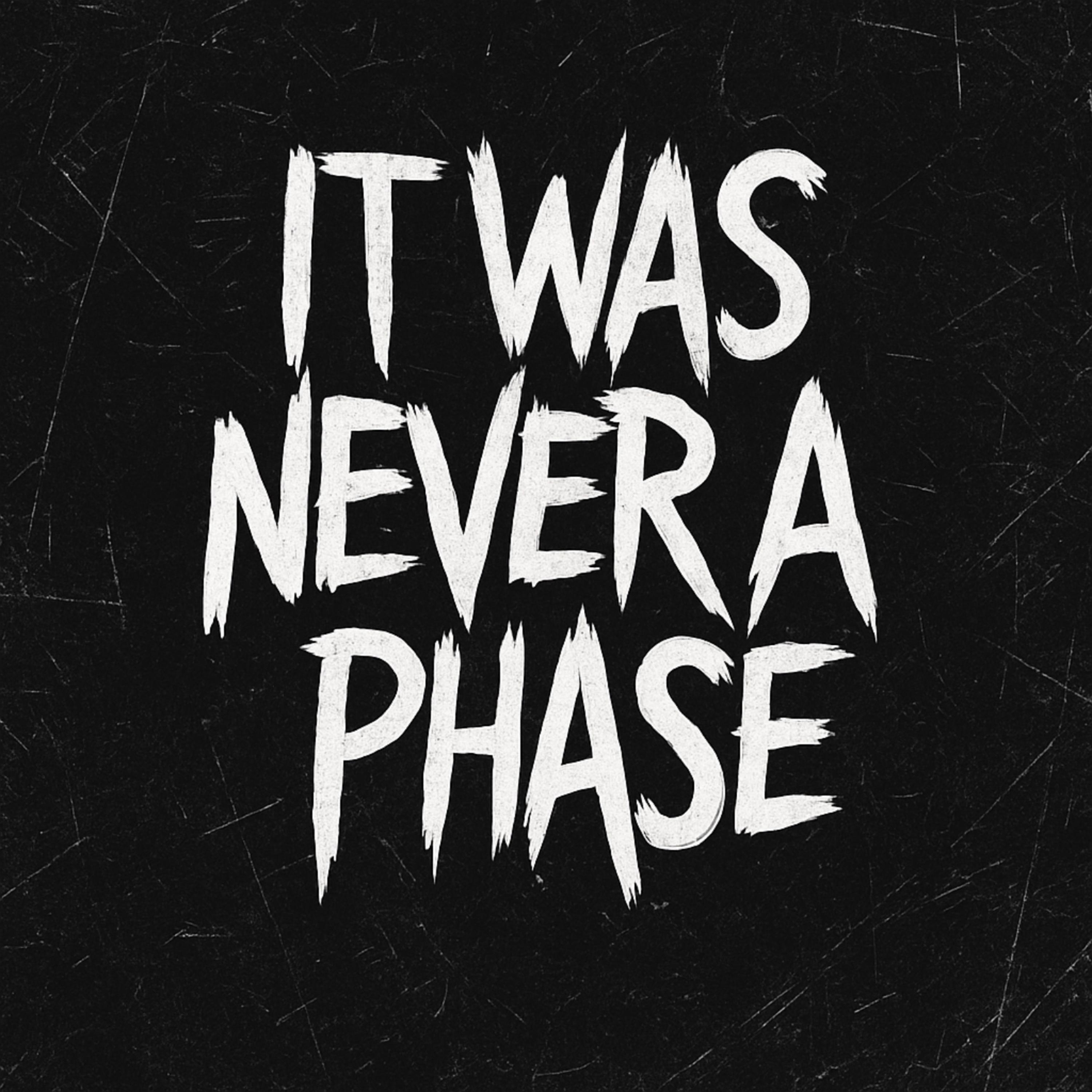 BRINGING PUNK BACK (Remix)