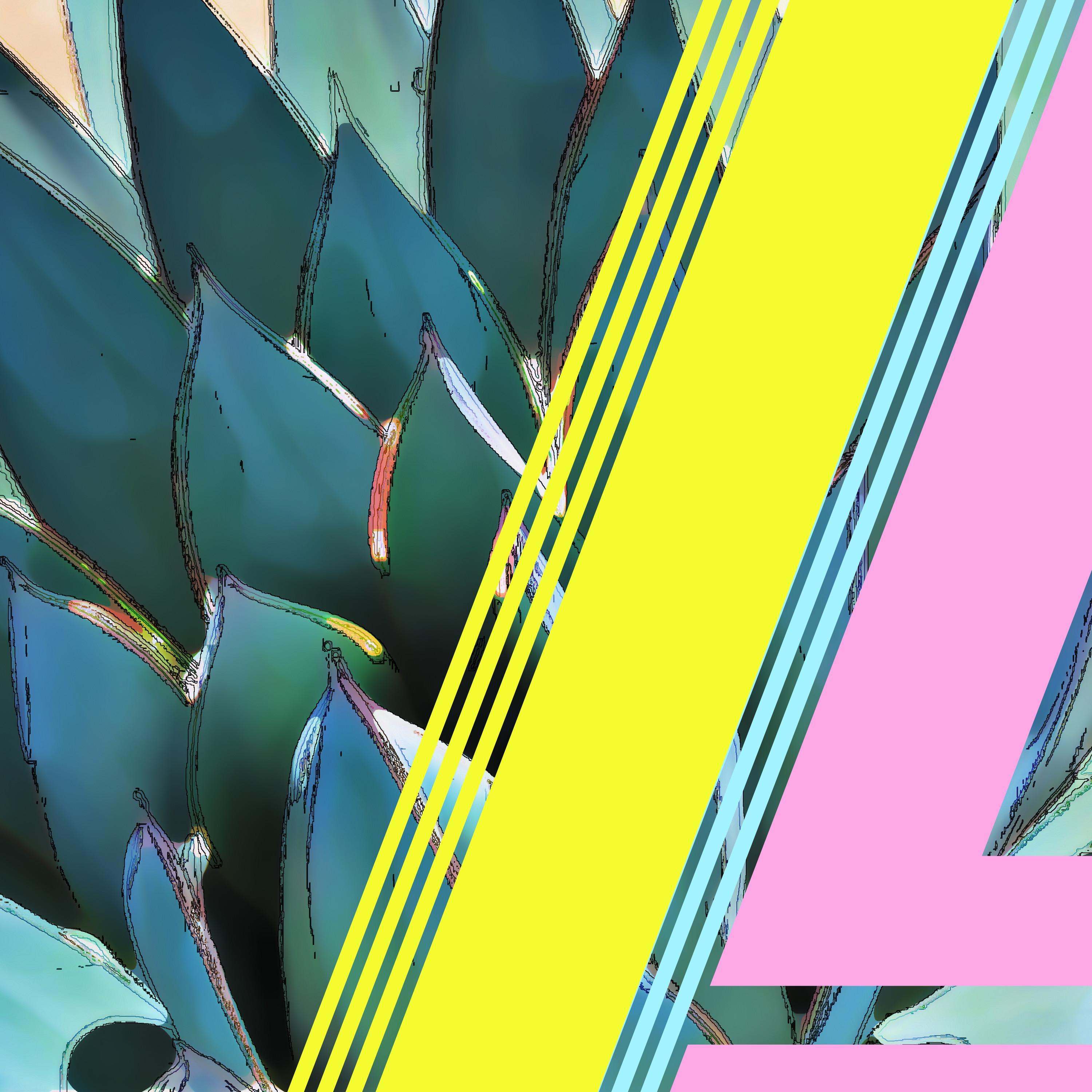 Agave