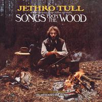 Jethro Tull - Velvet Green (unofficial Instrumental)