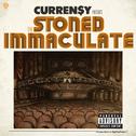 The Stoned Immaculate (Deluxe Version)专辑