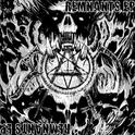 Remnants专辑