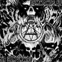 Remnants专辑