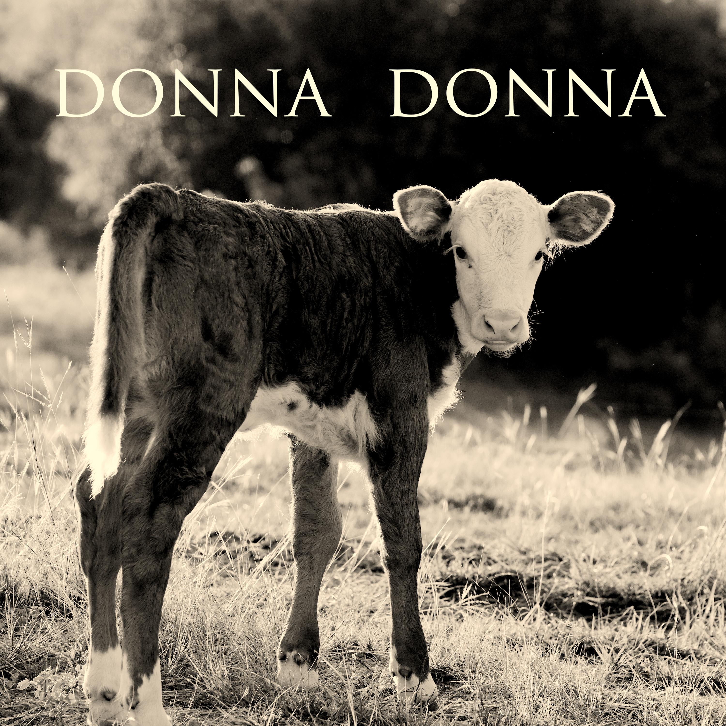 Donna Donna