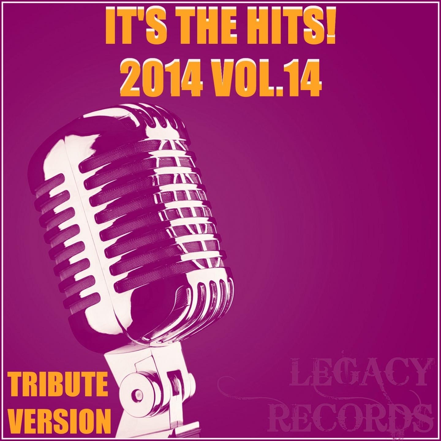 It's the Hits! 2014, Vol. 14