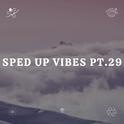 Sped Up Vibes pt.29专辑