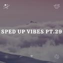 Sped Up Vibes pt.29专辑