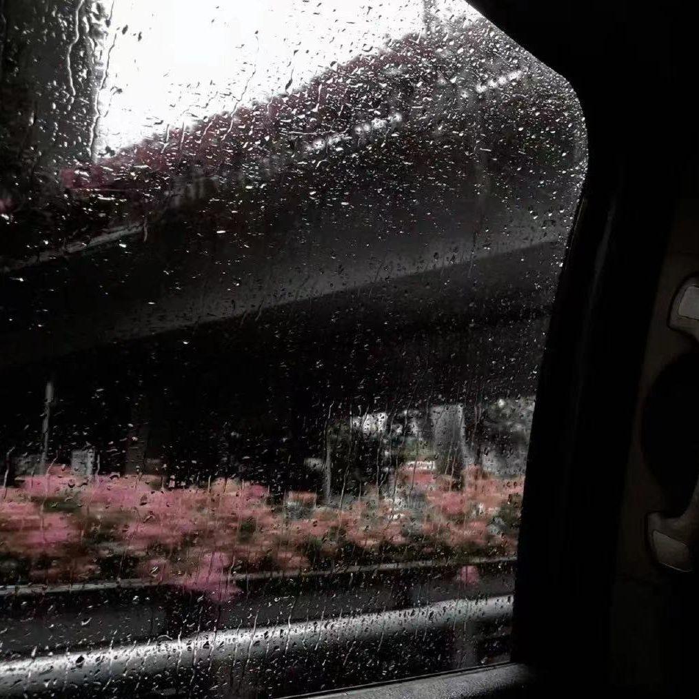 腐烂的花