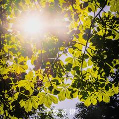 浅睡眠深度放松