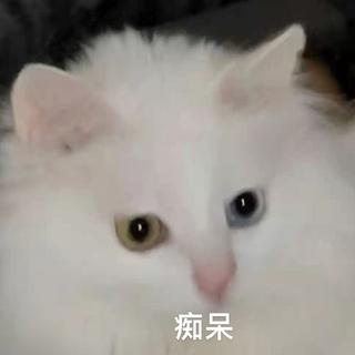 最佳techno