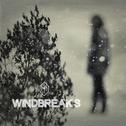 Windbreaks (Winter Chill Mix)专辑