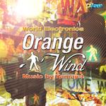 O2Jam OST (오투잼 OST) - Orange Wind专辑