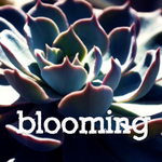 Blooming专辑