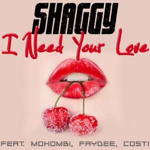 Mohombi、Shaggy、Faydee、Costi - I Need Your Love （升8半音）