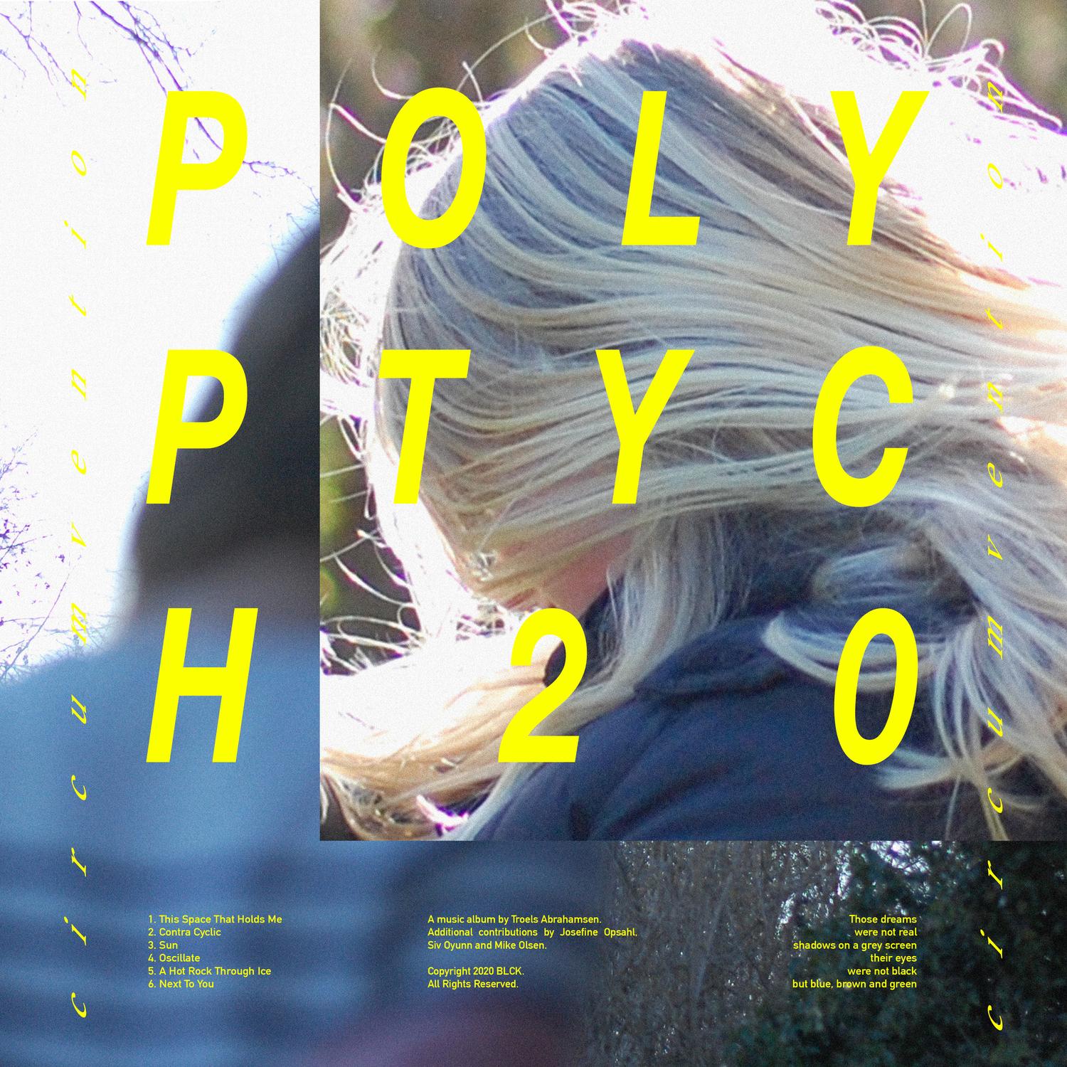 Polyptych20 / Circumvention
