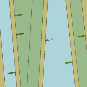 Bamboo Forest B