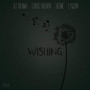 DJ Drama&Chris Brown&Skeme&Lyquin-Wishing 原版立体声伴奏 （降8半音）