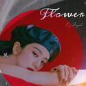 꽃（Flower）