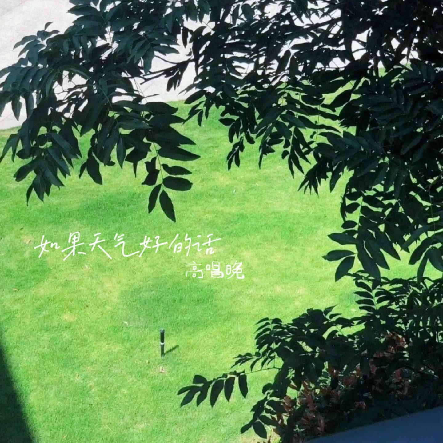 如果天气好的话