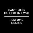 Can't Help Falling In Love