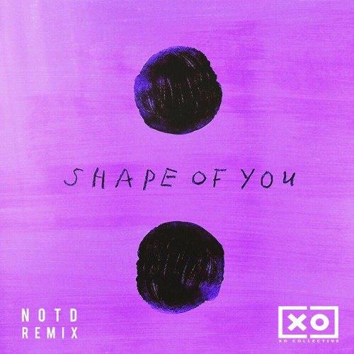 Shape of You (NOTD Remix)专辑