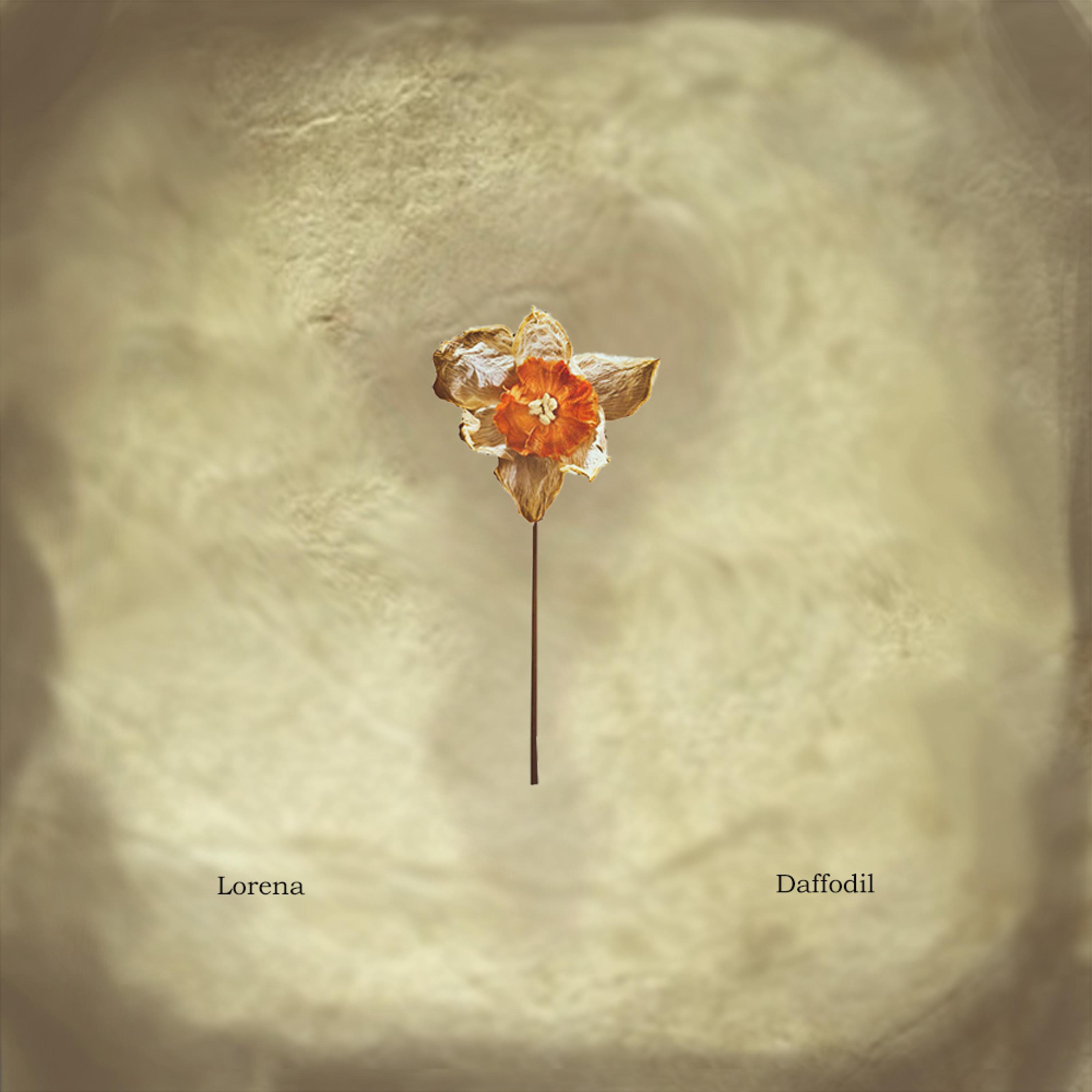 Daffodil