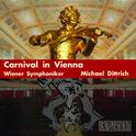 Carnival in Vienna专辑