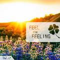 Feel The Feeling Vol.17